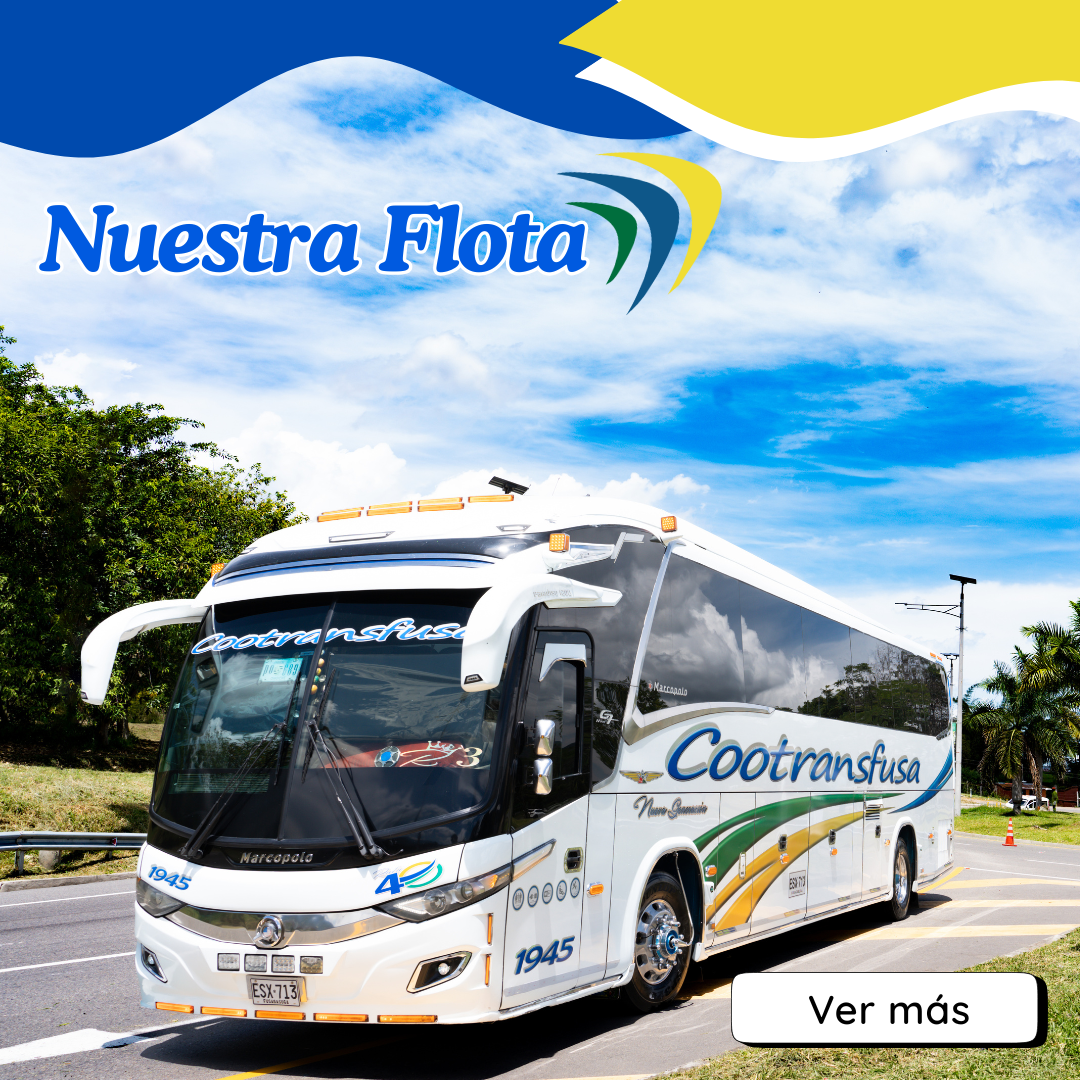 Consulta nuestros horarios de viaje