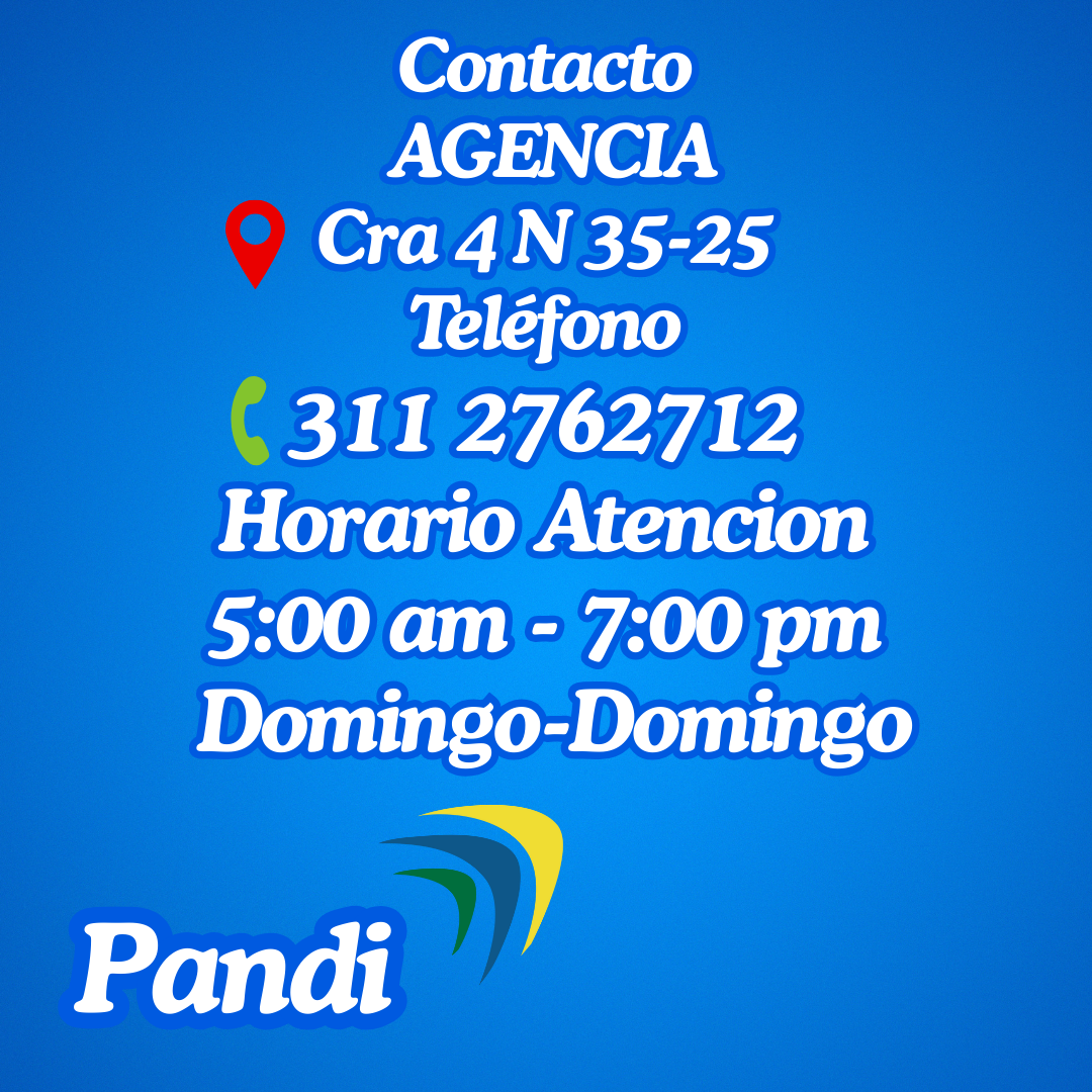 Pandi - reverso