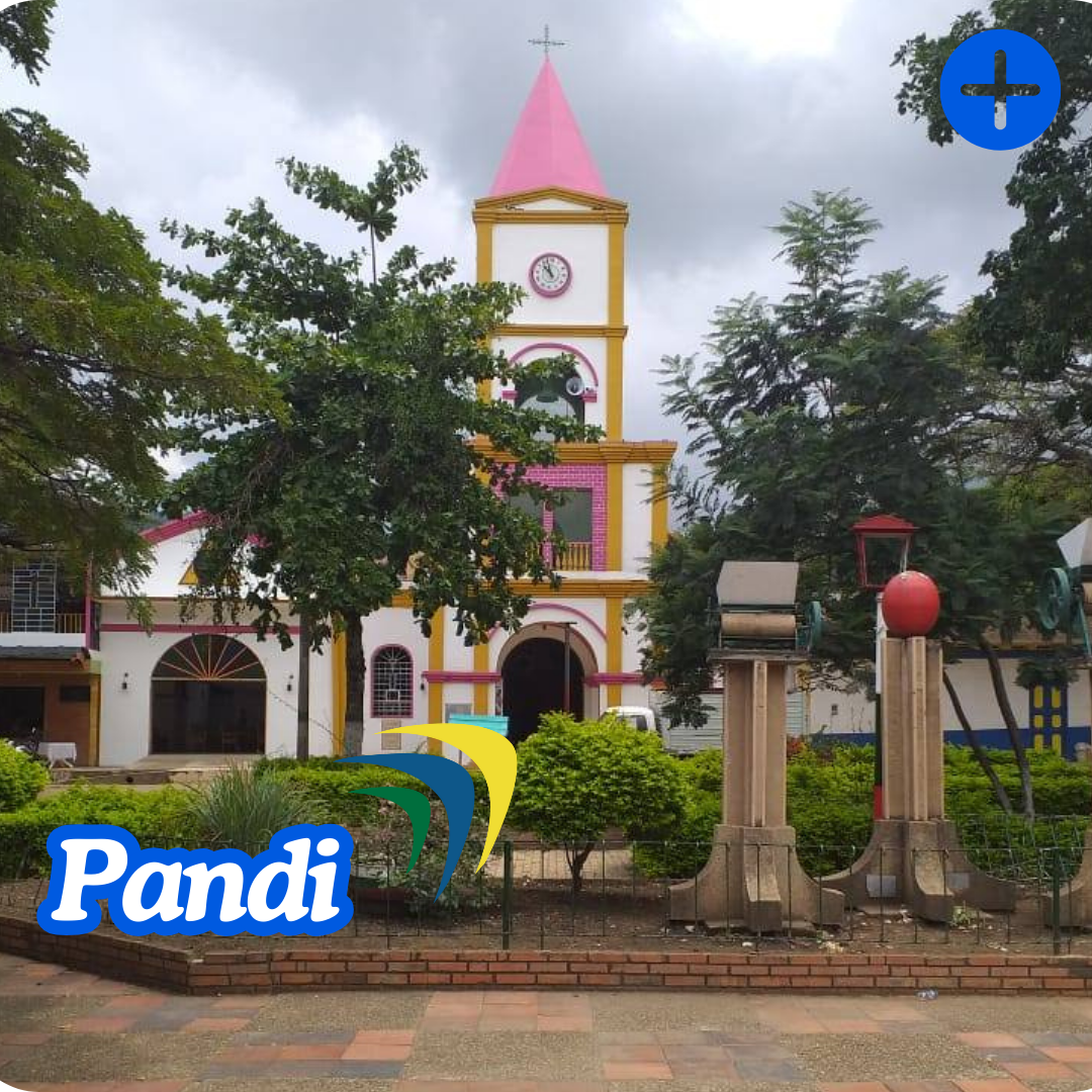 Pandi - frente