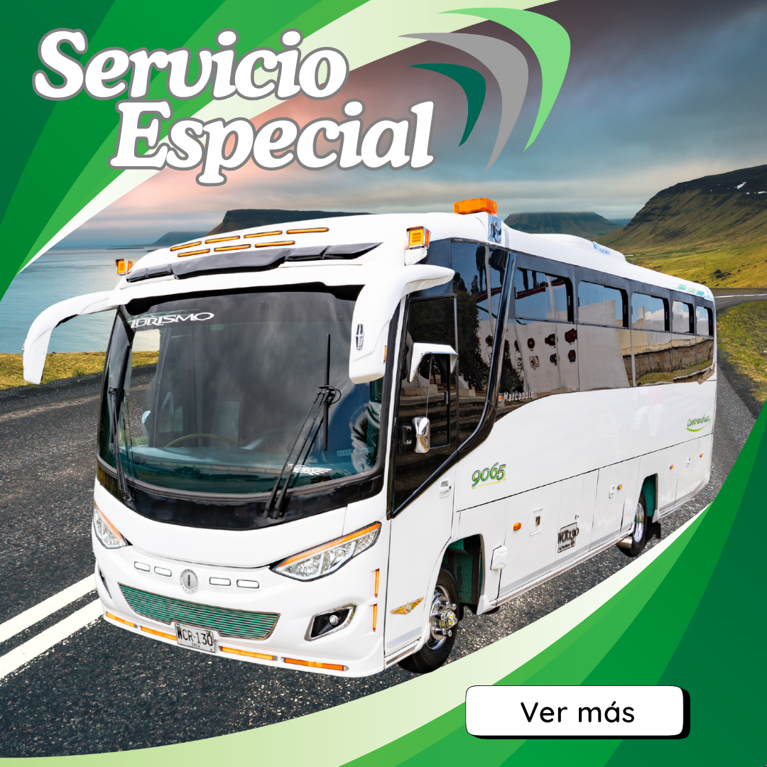Servicio Especial